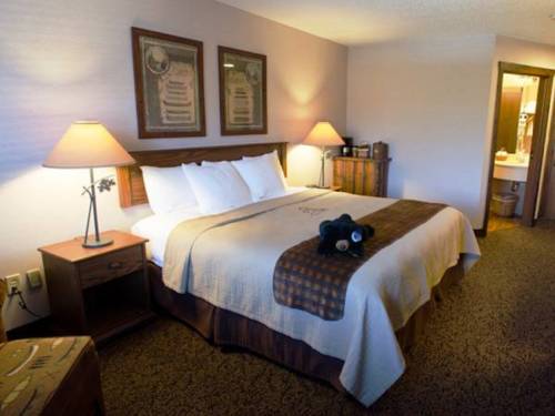 Imagen de la habitación del Hotel Stoney Creek Inn Galena. Foto 4