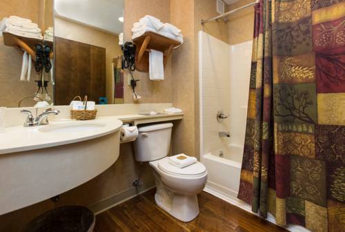 Imagen de la habitación del Hotel Stoney Creek Inn Galena. Foto 7