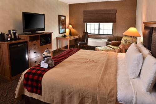 Imagen de la habitación del Hotel Stoney Creek Sioux City. Foto 3