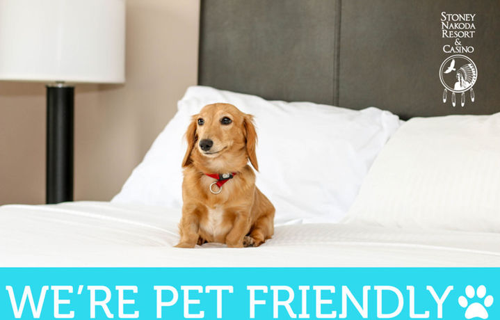 Imagen de la habitación del Hotel Stoney Nakoda Resort and Casino. Foto 3
