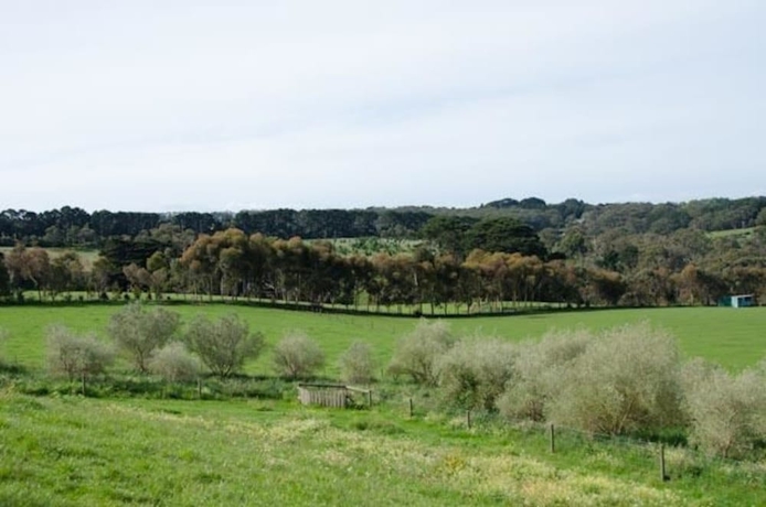 Imagen de los exteriores del Hotel Stony Creek Cottages. Foto 13
