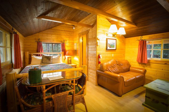 Imagen de la habitación del Hotel Storm Mountain Lodge Cabins and Dining. Foto 6
