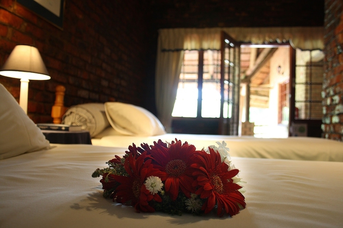 Imagen de la habitación del Hotel Storms River Guest Lodge. Foto 12