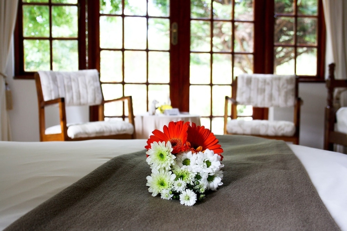 Imagen de la habitación del Hotel Storms River Guest Lodge. Foto 13