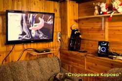 Imagen general del Hotel Storozhevaya Korova. Foto 4