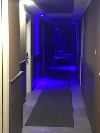 Imagen de la habitación del Hotel Stradivari. Foto 14