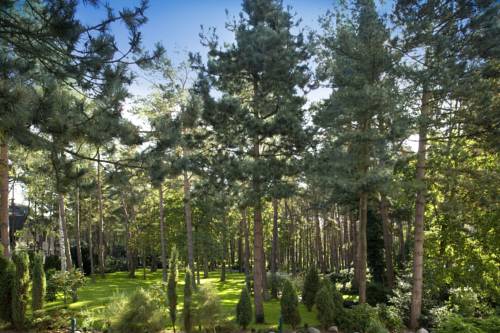 Imagen de la habitación del Hotel Strandhotel Fischland. Foto 8