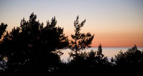 Imagen de la habitación del Hotel Strandhotel Fischland. Foto 13