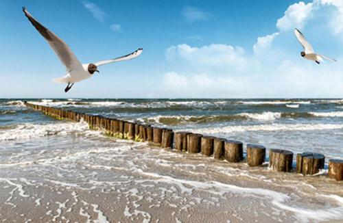 Imagen general del Hotel Strandhotel Prinz von Preussen. Foto 15