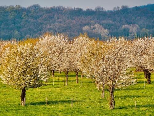 Imagen general del Hotel Strandhotel Wemeldinge. Foto 8