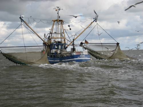 Imagen de la habitación del Hotel Strandhotel Wietjes. Foto 8