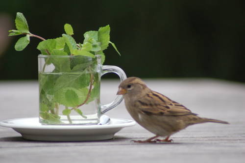Imagen de la habitación del Hotel Strandhotel Zandt Aan Zee. Foto 3