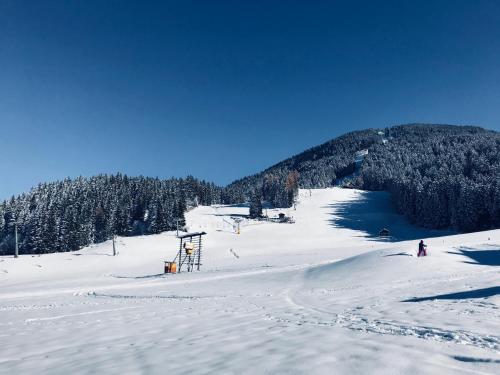 Imagen general del Hotel Strasser, Dolomiti di Sesto - Alta Pusteria. Foto 5