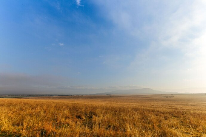 Imagen de los exteriores del Hotel Strathearn Park Lodge. Foto 30