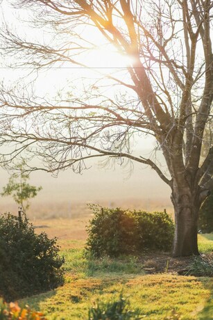 Imagen de los exteriores del Hotel Strathearn Park Lodge. Foto 32