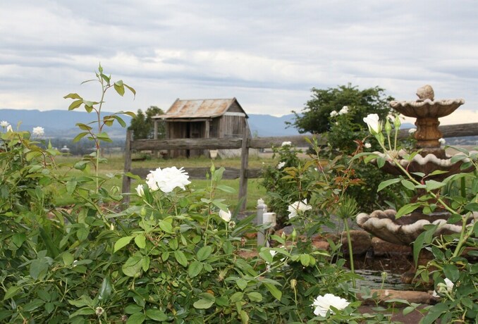 Imagen de los exteriores del Hotel Strathearn Park Lodge. Foto 33