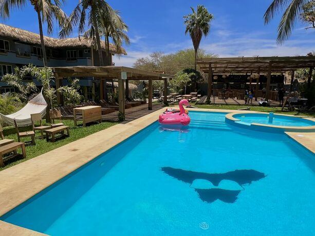 Imagen general del Hotel Straw Hat Surf Hostel. Foto 12