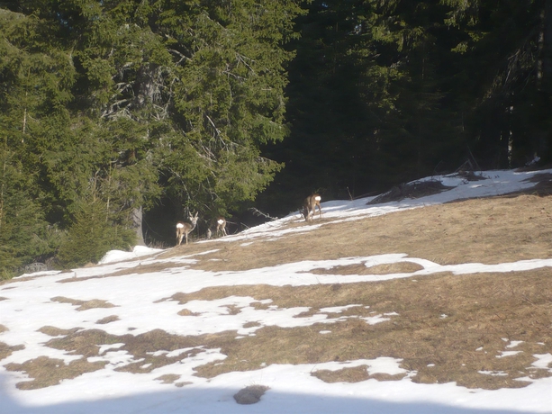 Imagen de los exteriores del Hotel Stream Resort. Foto 4