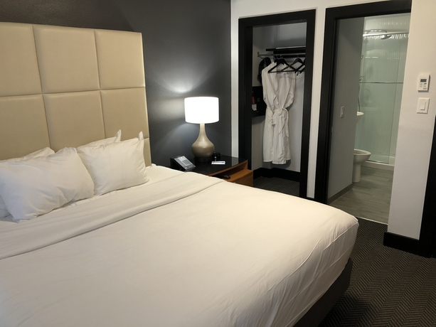 Imagen de la habitación del Hotel Streamline. Foto 13