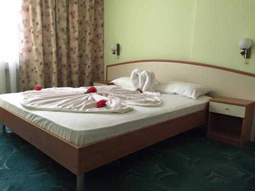 Imagen de la habitación del Hotel Struma. Foto 6