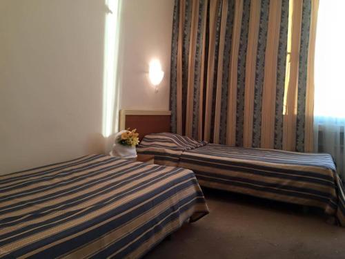 Imagen de la habitación del Hotel Struma. Foto 7