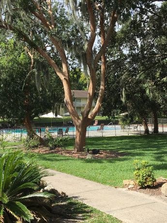Imagen de la piscina del Hotel Studio 6 Ocala, FL. Foto 20