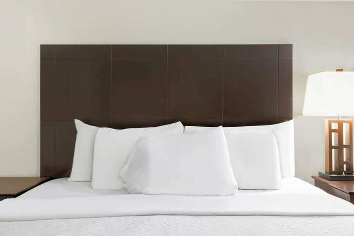 Imagen general del Hotel Studio 6 Pleasanton, TX. Foto 6