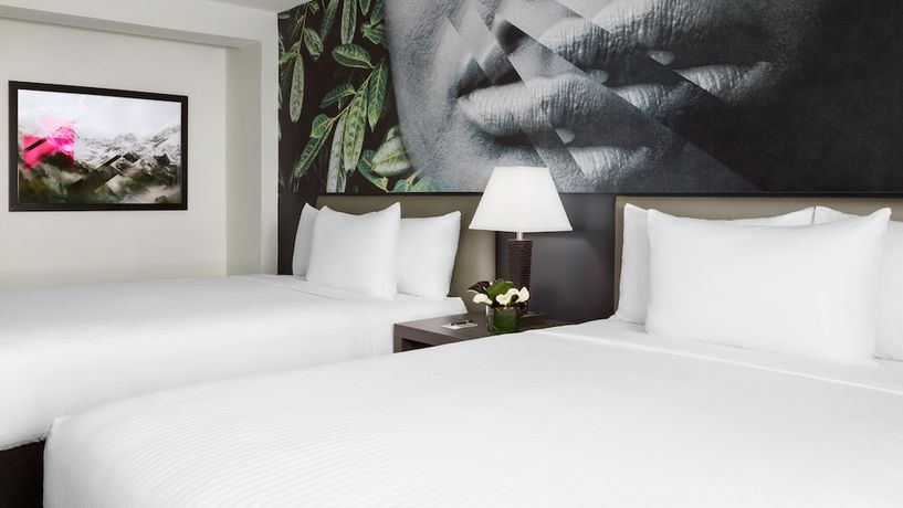 Imagen de la habitación del Hotel Studio Allston. Foto 5