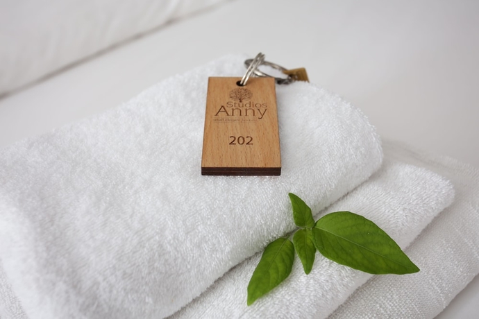 Imagen de la habitación del Hotel Studios Anny Family. Foto 19