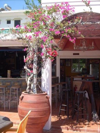 Imagen general del Hotel Studios Gorgona. Foto 4