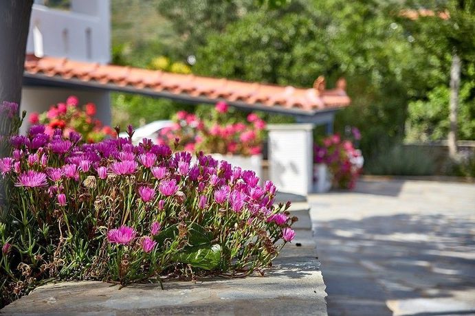 Imagen del bar/restaurante del Hotel Studios Irene. Foto 6