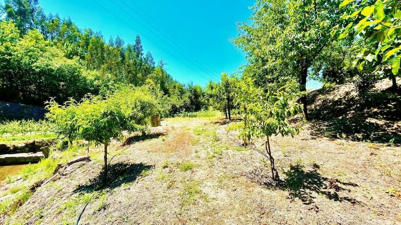 Imagen general del Hotel Stunning Villa Portugal Private Pool Diving Board. Foto 15