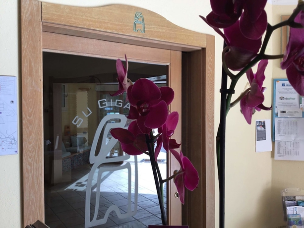 Imagen de los interiores del Hotel Su Giganti. Foto 18