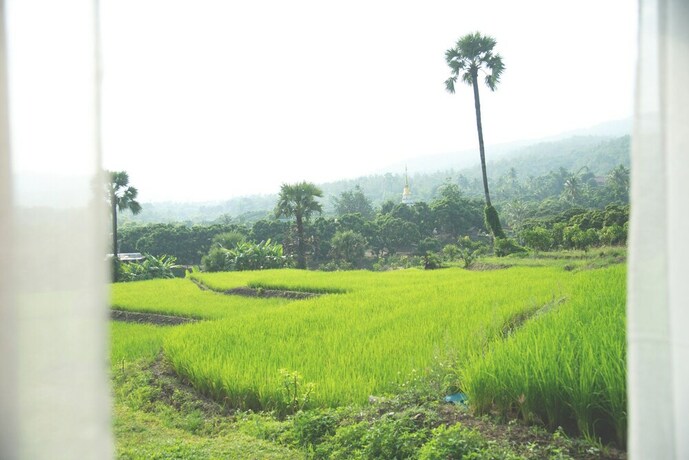 Imagen de los exteriores del Hotel Suan Sook Homestay. Foto 32