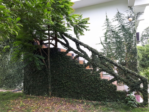 Imagen de la habitación del Hotel Suanmaihom Resort. Foto 14