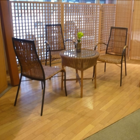 Imagen de los interiores del Hotel Subaruyado Yoshino. Foto 10