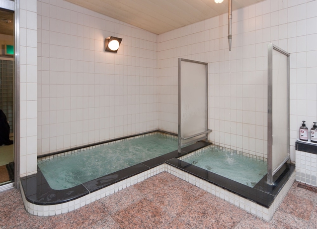 Imagen de la piscina del Hotel Subaruyado Yoshino. Foto 14