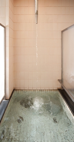 Imagen de la piscina del Hotel Subaruyado Yoshino. Foto 16