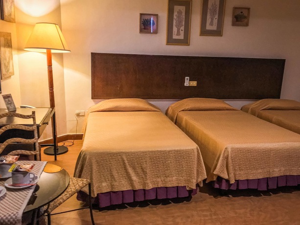 Imagen de la habitación del Hotel Subic Park Hotel. Foto 10