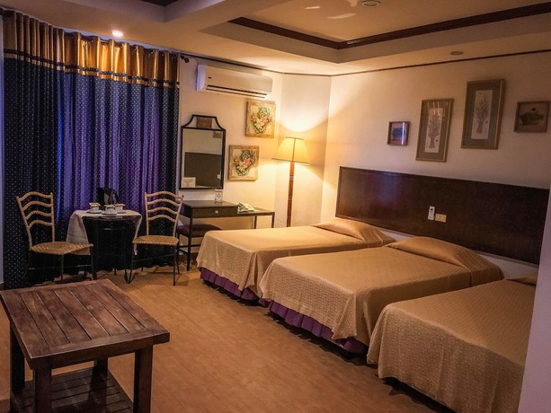 Imagen de la habitación del Hotel Subic Park Hotel. Foto 11