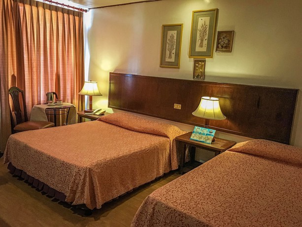 Imagen de la habitación del Hotel Subic Park Hotel. Foto 15