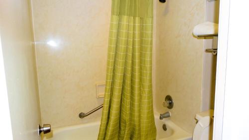 Imagen general del Hotel Suburban Studios Brunswick I-95. Foto 4