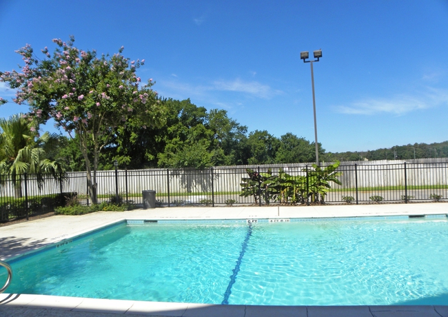 Imagen de la piscina del Hotel Suburban Studios Houston North I-45. Foto 14
