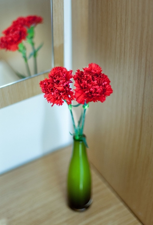 Imagen de los interiores del Hotel Sude Konak - Special Class. Foto 13