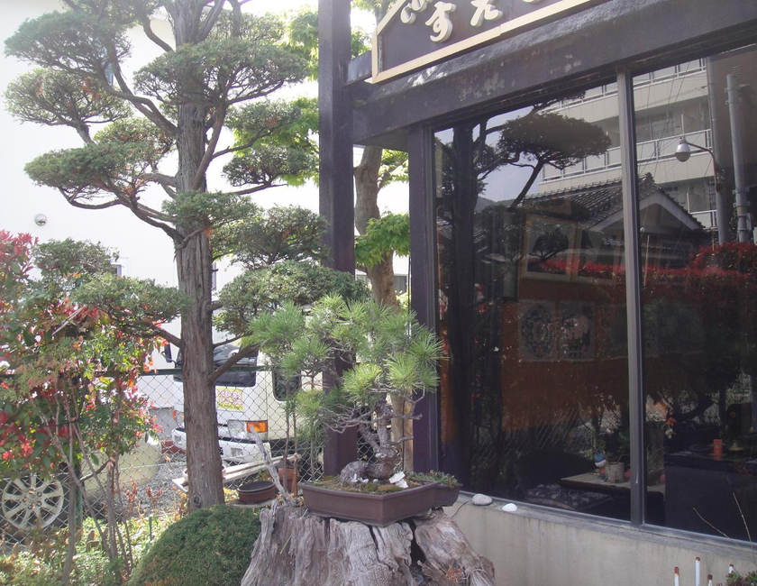 Imagen general del Hotel Suehiro. Foto 19