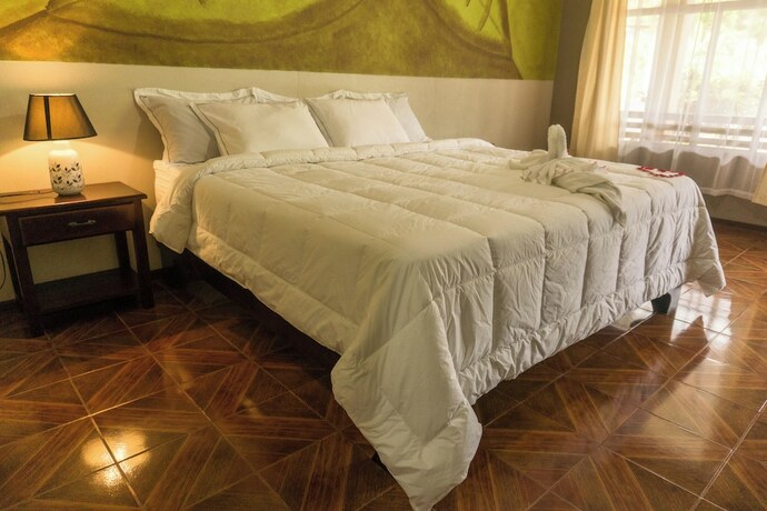 Imagen general del Hotel Sueno Dorado Hot Springs. Foto 11