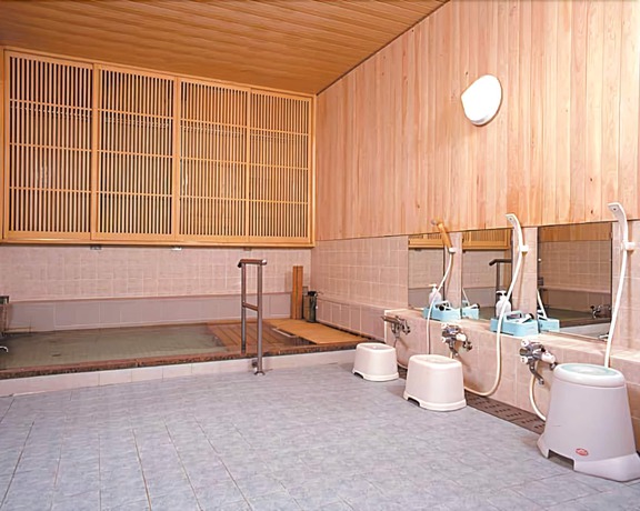 Imagen de la piscina del Hotel Sugadairakogen Onsen. Foto 16