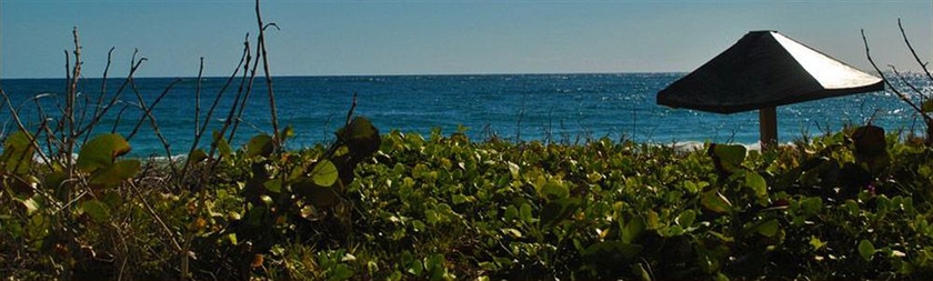 Imagen de los exteriores del Hotel Sugar Bay Club Suites and. Foto 7