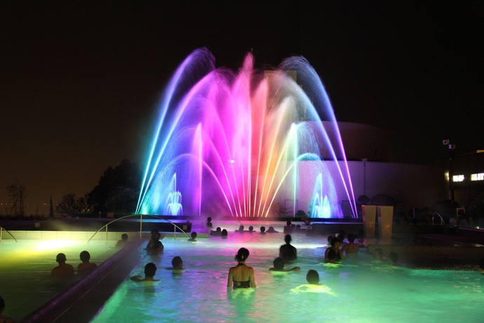 Imagen de la piscina del Hotel Suginoi. Foto 16