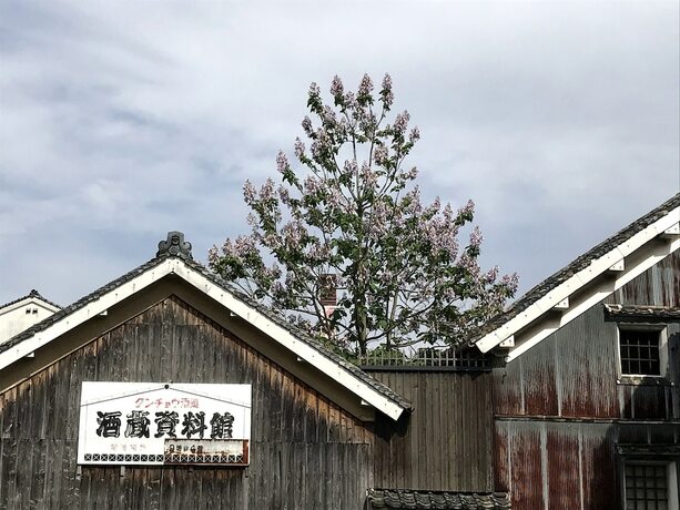 Imagen general del Hotel Suikomareso. Foto 10